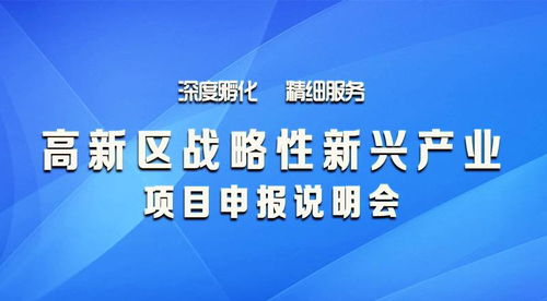 高新区战略性新兴产业项目申报会开幕，企业项目孵化迎来新机遇